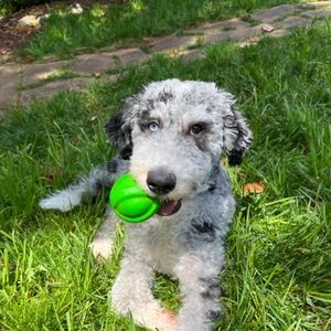 Meet your Posher, Crystal